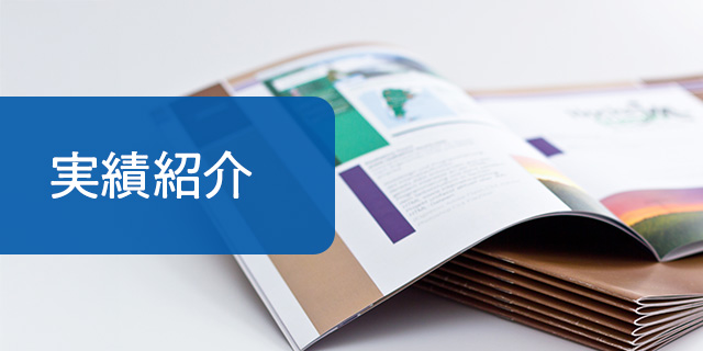 実績紹介